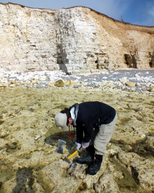 Coastal erosion study could hold valuable lessons for climate change mitigation