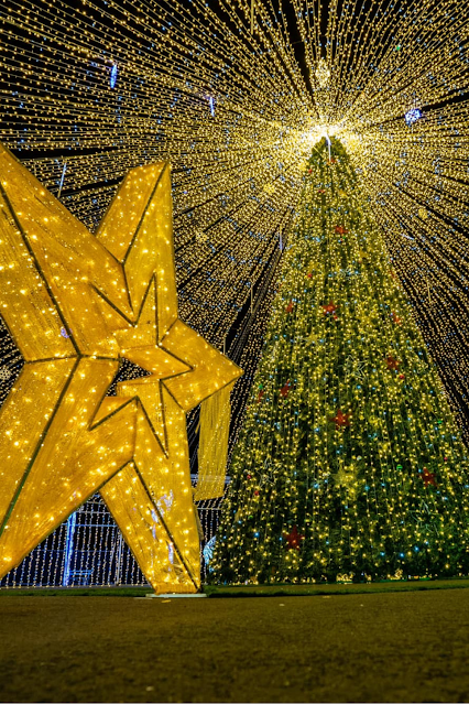 Tall Christmas Tree Star Lights Imaginarium