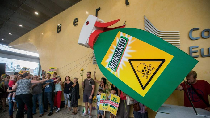  Πώς η Monsanto «φακέλωνε» και «πολεμούσε» δημοσιογράφους και ακτιβιστές