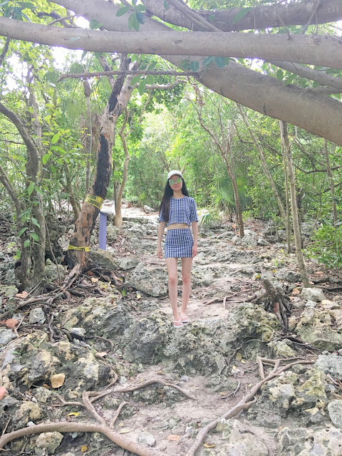 Coco Cay nature trail