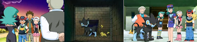 Pokemon Capitulo 7 Temporada 11 Vision De Luxray