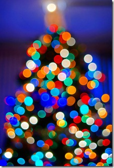 Bokeh-Tree-small