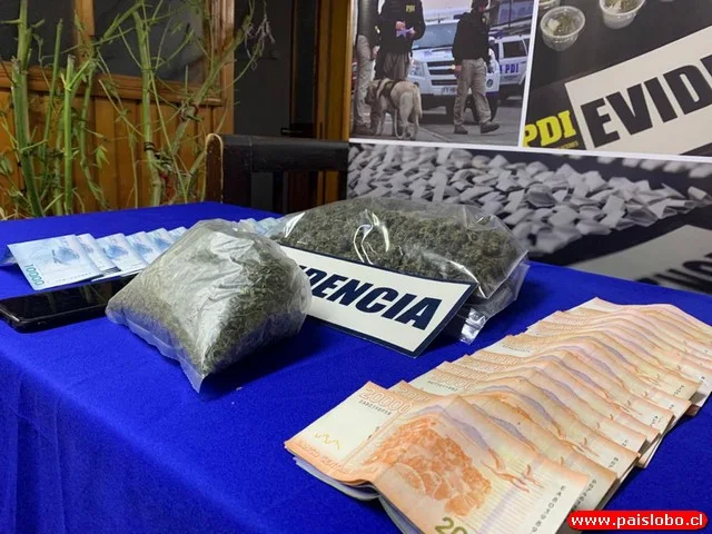 🚨 Detenida por comercializar cannabis en Tegualda