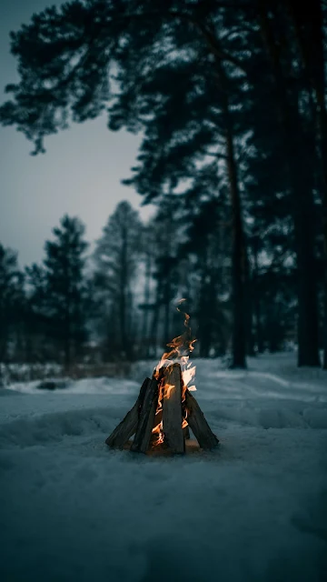 Snow, Winter, Bonfire, Fire, Firewood