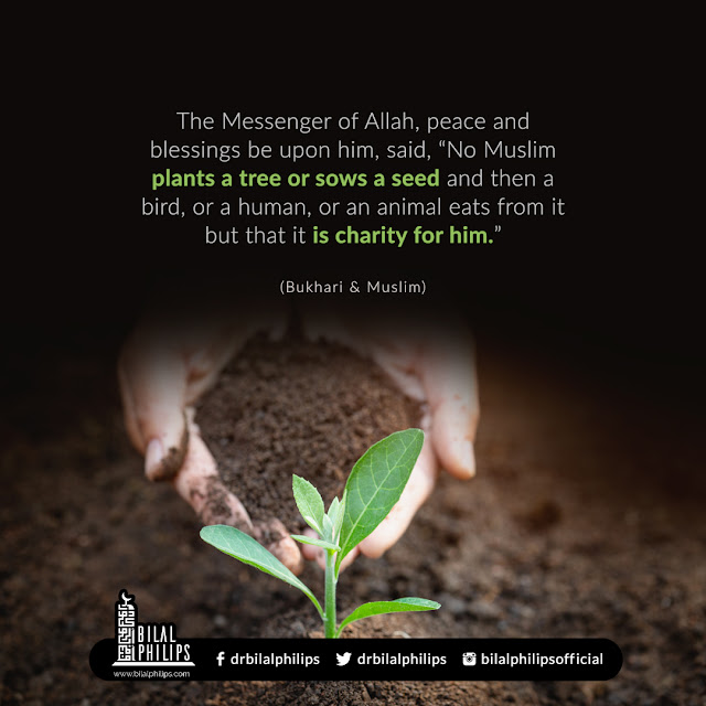 Even planting a tree is charity (Hadith)