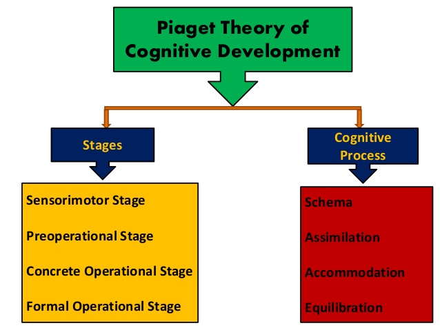 Jean Piaget's Theory of Cognitive Development