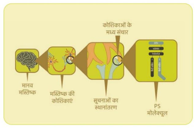 Vestige Metamind Benefits In Hindi  | Vestige Metamind Ke Fayde.