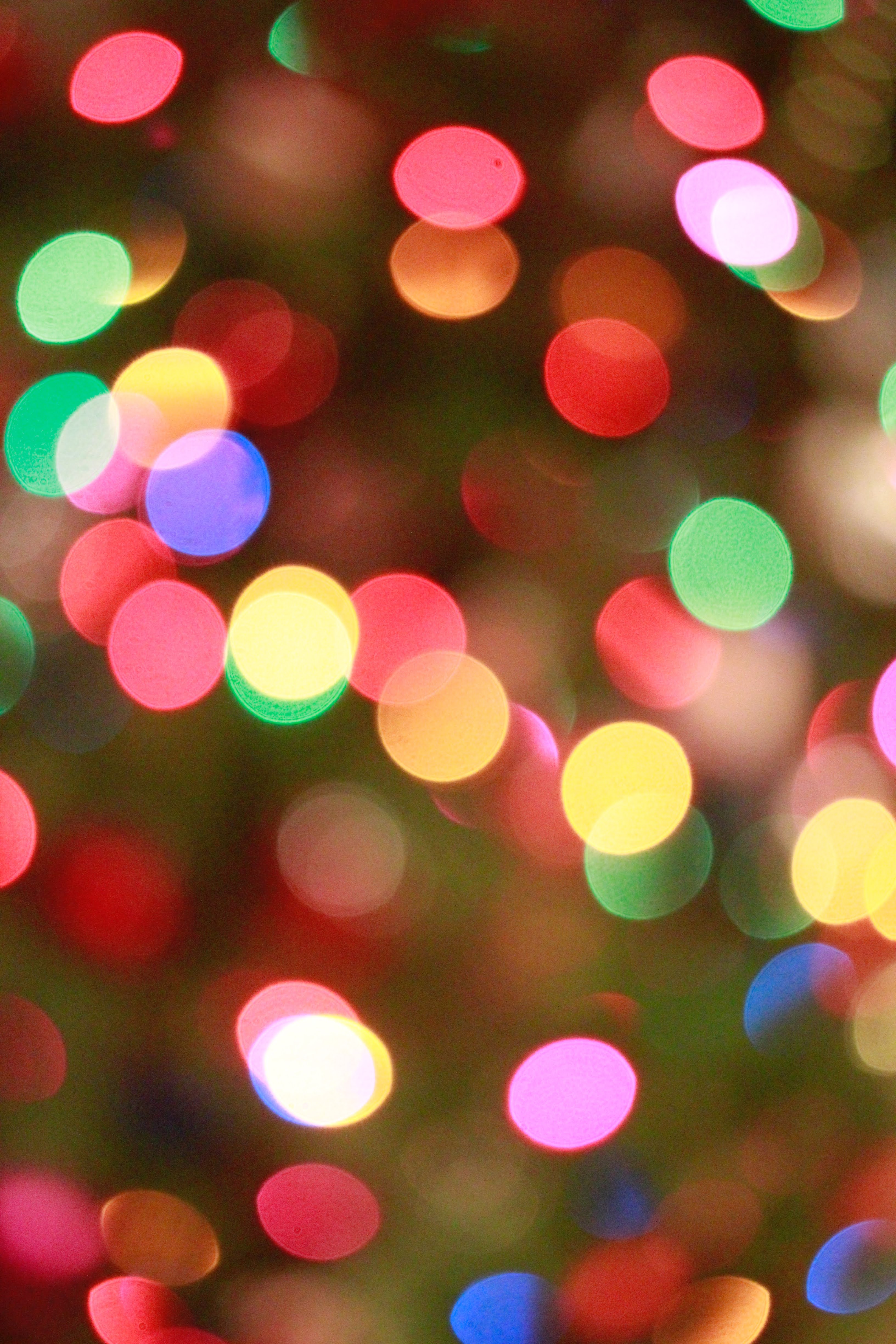 Colored Christmas Lights | Photo by Madison Kaminski via Unsplash