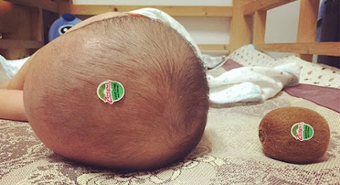 20+ Funny Reasons Why Babies Shouldn't Be Left Alone With Their Fathers