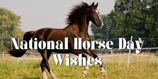 Best National Horse Day 2023: Wishes And Quotes on celebrationquotes.com