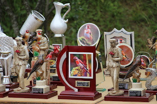 Decenas de aficionados participan en el Concurso de Pájaros Cantores en el jardín botánico