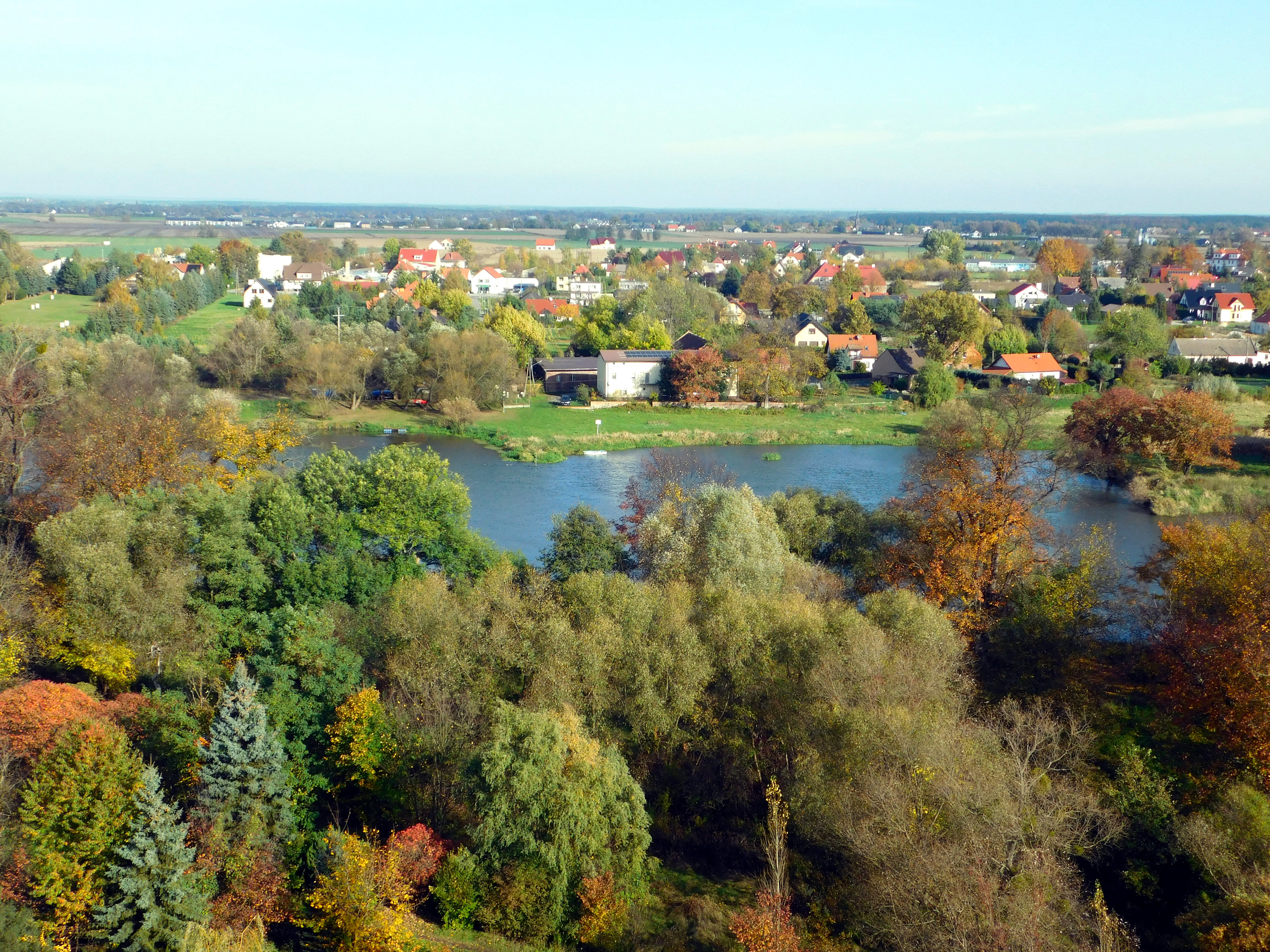 Widok z wieży Kotowice Utrata