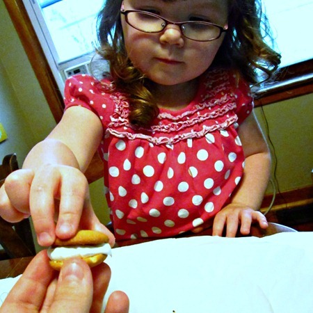Sprinkle Cookie Freezer Bites 2