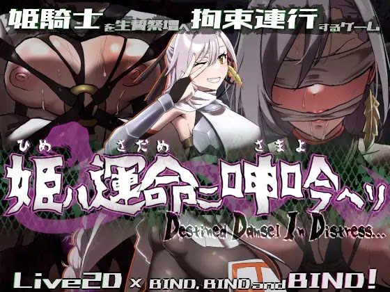 [RJ01345747] 姫ハ運命ニ呻吟ヘリ Destined Damsel In Distress