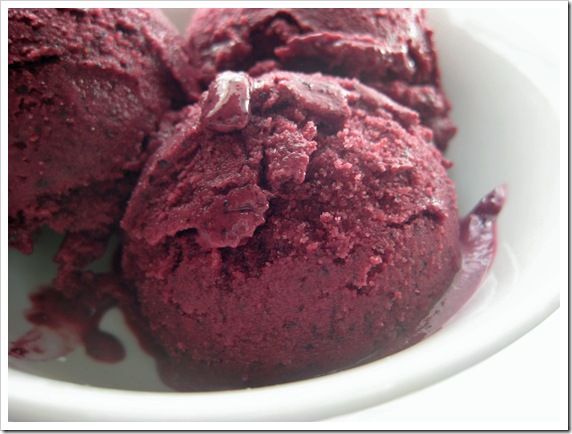 blueberry sorbet-3