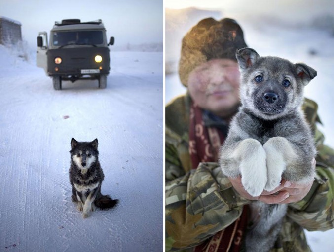 Oymyakon  a cidade mais fria do mundo nas fotos de Amos Chapple