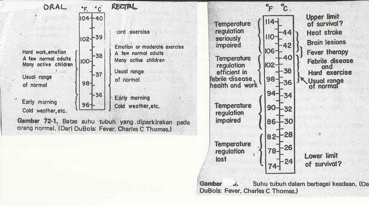 Kesehatan: Mengenal Suhu Tubuh