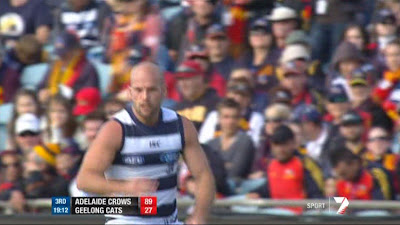 Paul Chapman playing for Geelong against Adelaide