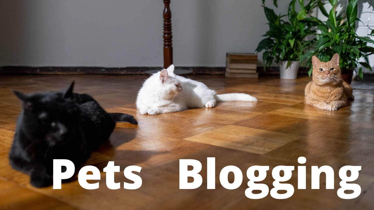 Start a Pet Blogging