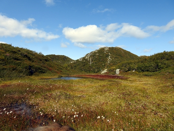 vardefjell norefjell