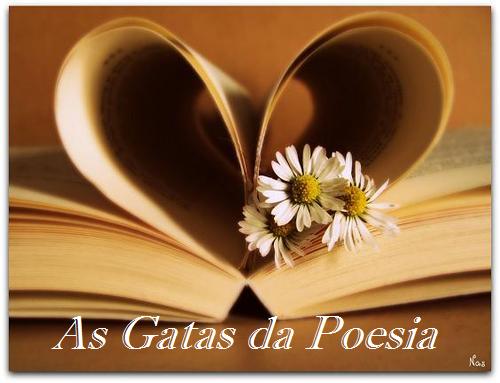 As gatas da poesia 9ºB