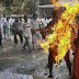 Man Sets Himself Ablazed To Protest The Killing Of Cattle [Pics]