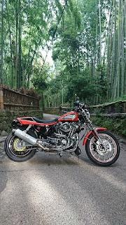 スポーツスター,がるーだ,ターコイズ,ダートラ,883R,sportster,xl1200c