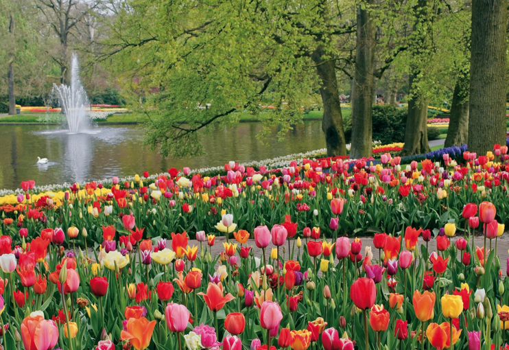 KM Kebun Bunga  Keukenhof