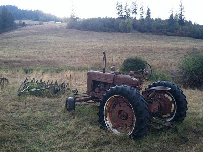 A tractor stands watche over a field