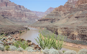 Inside the Grand Canyon