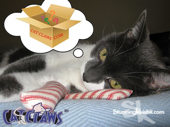 Cat Claws™ subscription box review & giveaway