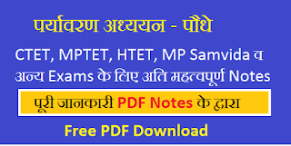 EVS Study Material For TET CTET HTET REET