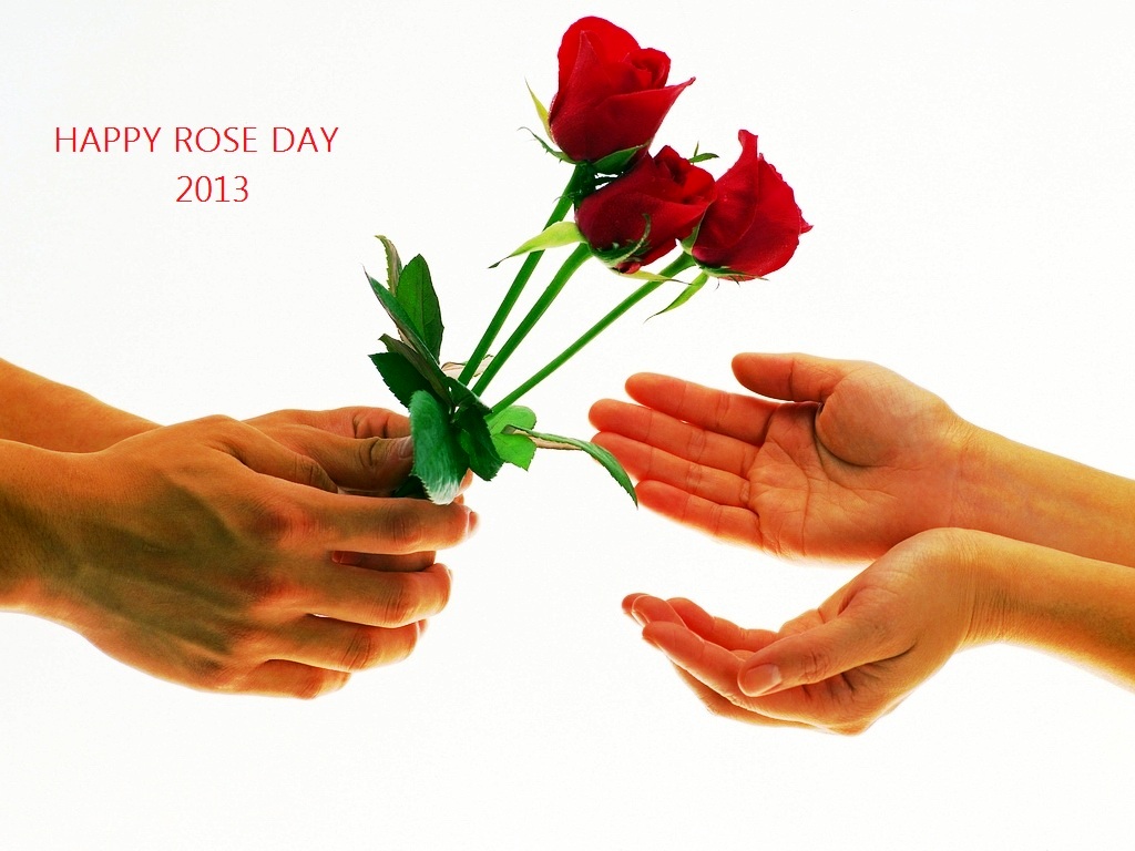 Entertainment Hub: Happy Rose Day 2013-Best Facebook Rose Day 2013 ...