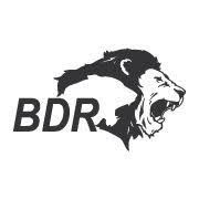 BDR Pharma Hiring For Production/ R&D Department