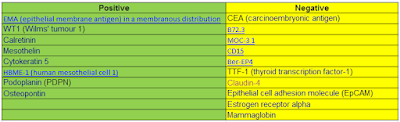 Immunochemistry of Mesothelioma