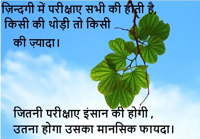 latest shayari images download, latest shayari images