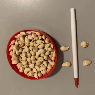 Yuzu seeds Yuzu seeds