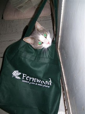 Don't let the cat out of the bag! Seen On www.coolpicturegallery.net