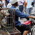 MUNDO / China se prepara para festival de Carne de Cachorro de Yulin