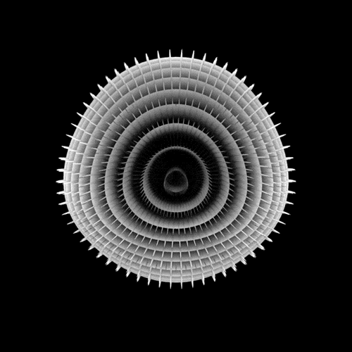 illusion11