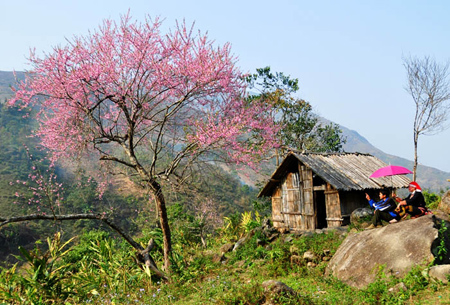 sapa vietnam beauti