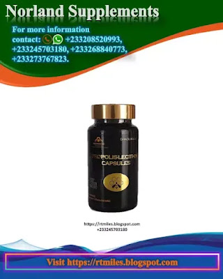 Norland Propolis Lecithin Capsule can improve diabetes, cold sores, and swelling and sores inside the mouth. It's also used for burns, canker sores, genital herpes, and many other conditions
