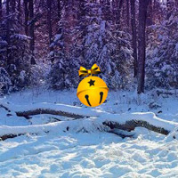 BigEscapeGames - BEG Escape from Snow Christmas Forest