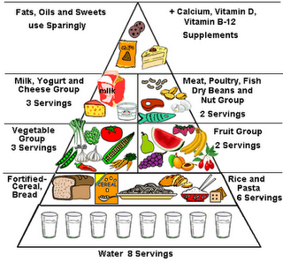 Blank new food pyramid