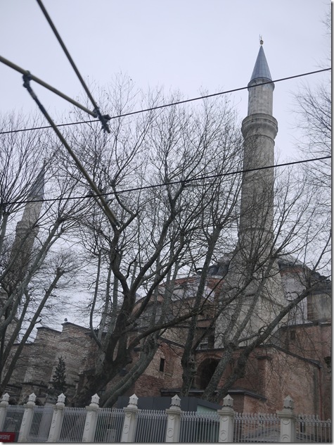 P1180881
