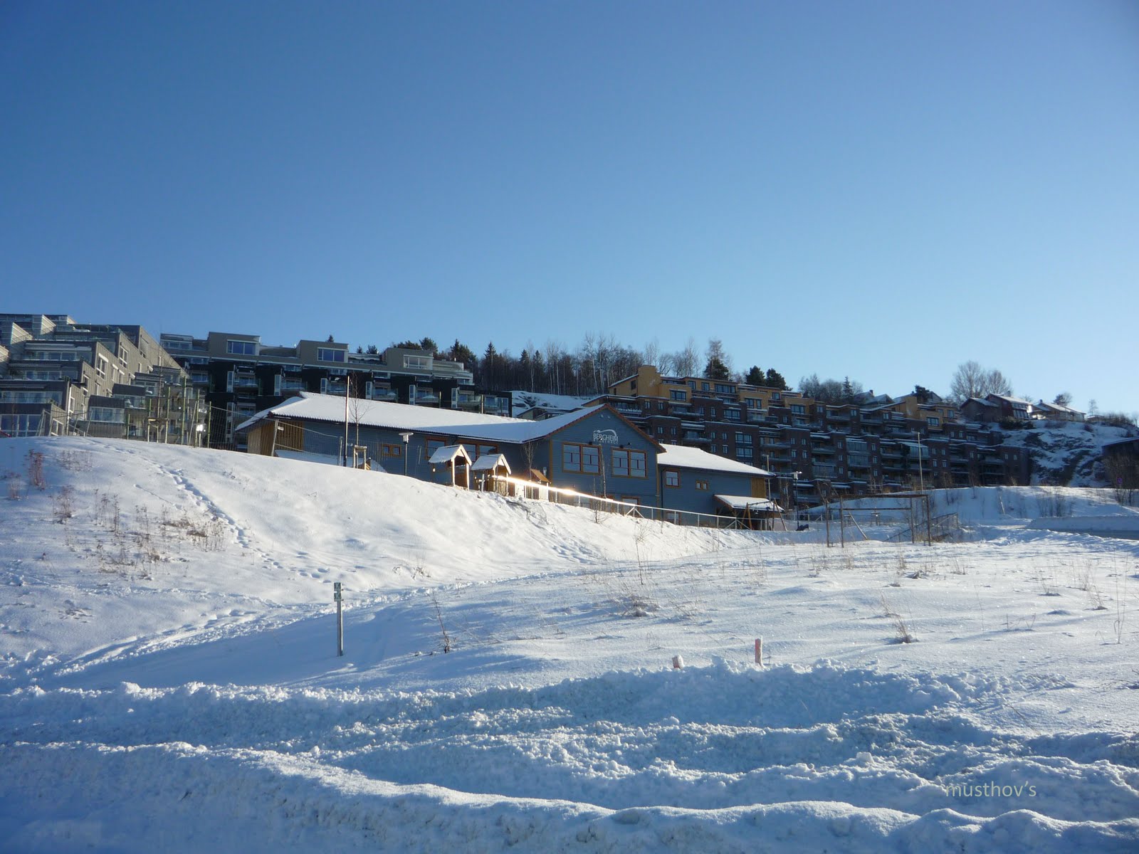 Rindu Pulang Menikmati Tarian Aurora Di Langit Trondheim