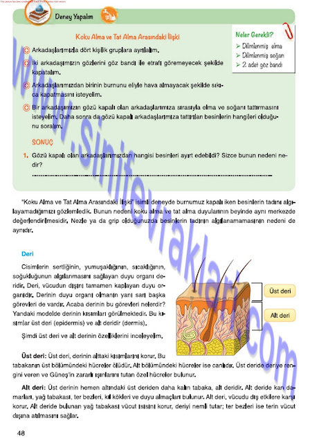 Mevsim Yayınları 7. Sınıf Fen Bilimleri Ders Kitabı Cevapları Sayfa 48