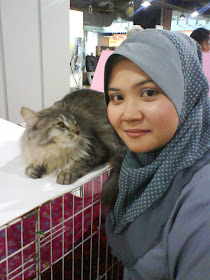 foto kucing cantik kiriman Lieza Marcella 11