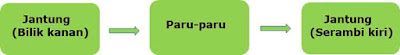 Darah merupakan cairan lengket berwarna merah yang rasanya asin dan berbau anyir Sistem dan Alat Peredaran Darah pada Manusia