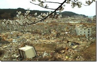 tsunamicherryblossom